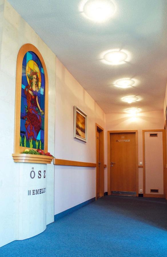 Hozam Wellness Es Apartman Szolnok Exteriér fotografie